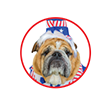 Mayor Tyson Bulldog Logo